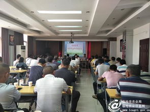 臨滄市甘蔗技術(shù)推廣站深入鳳慶糖業(yè)集團(tuán)開(kāi)展科技培訓(xùn)與技術(shù)推廣服務(wù)